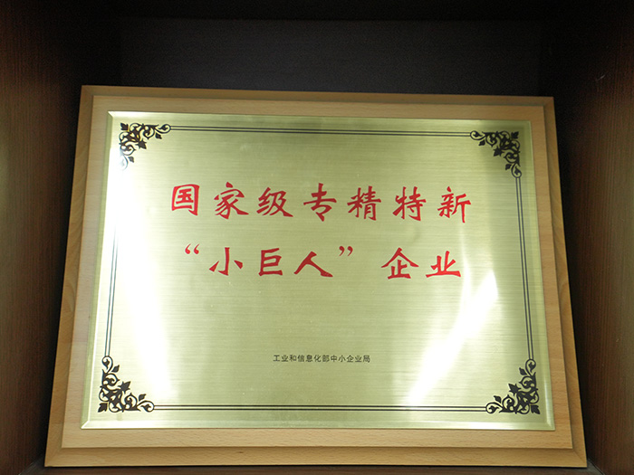 国家级专精特新“小巨人”企业