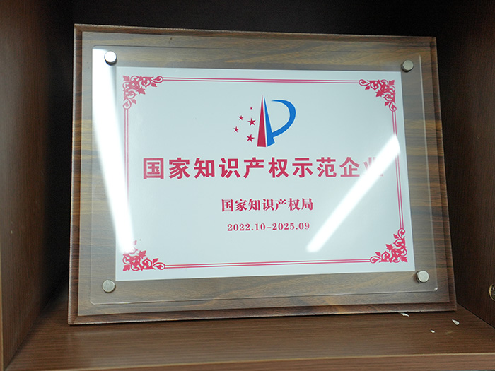 国家知识产权示范企业